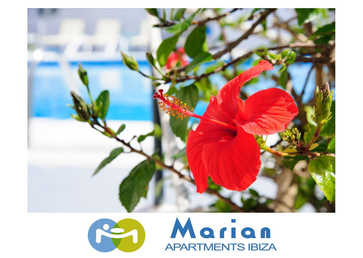 Apartment Marian San Antonio (Ibiza)